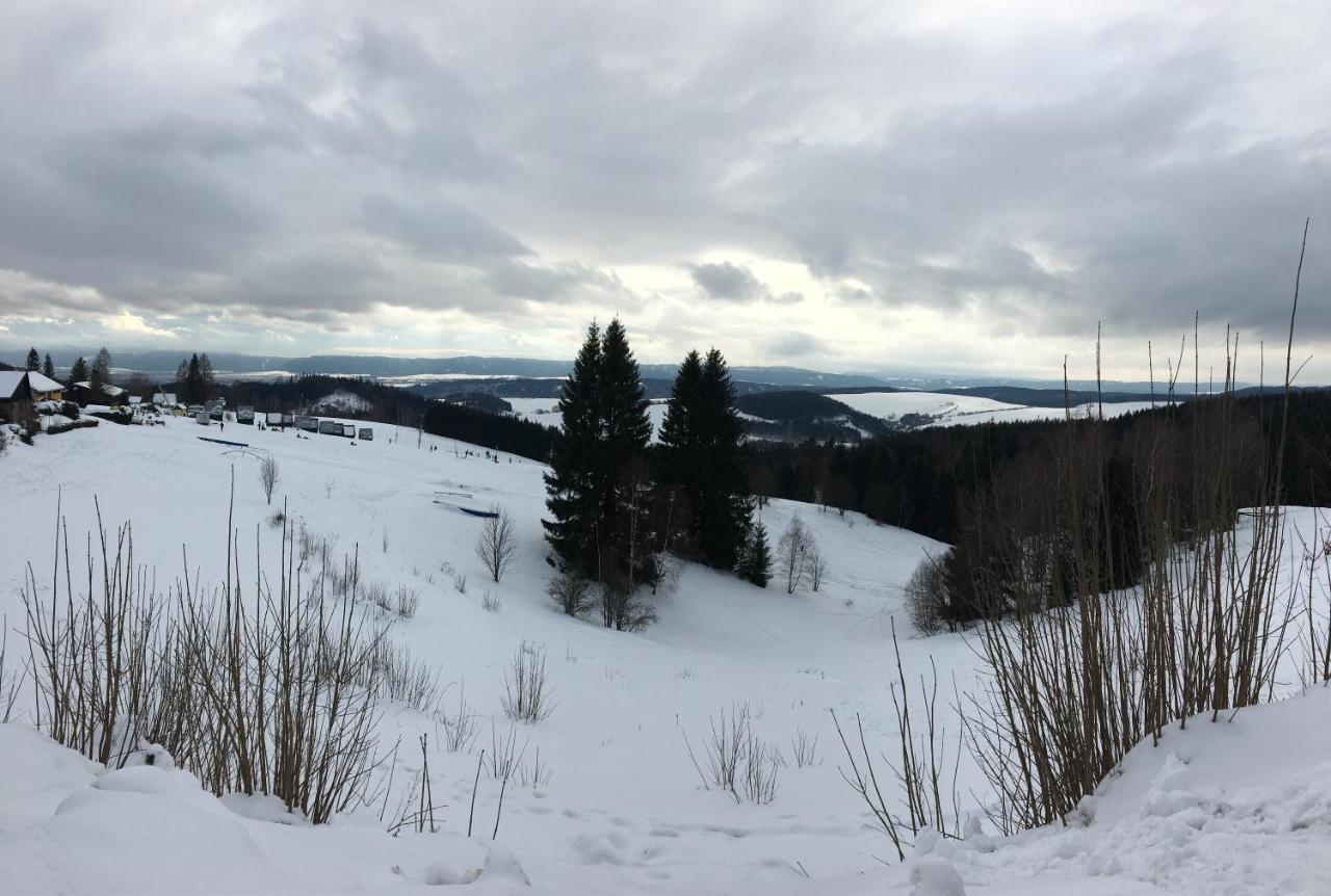 Hotel VilaEva Adršpach Broumovsko Ruprechtice Exteriér fotografie